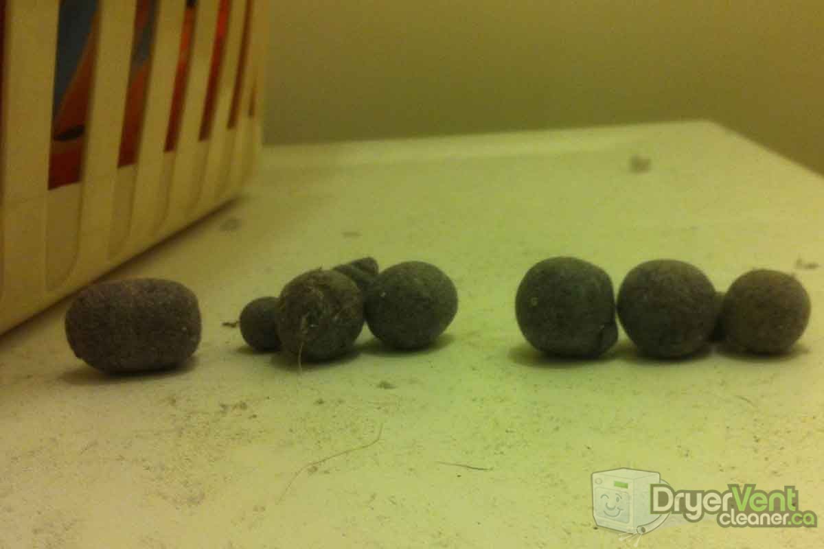 dryer lint balls