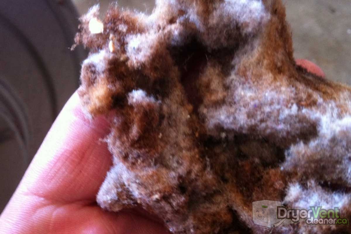 Burnt lint from dryer fire