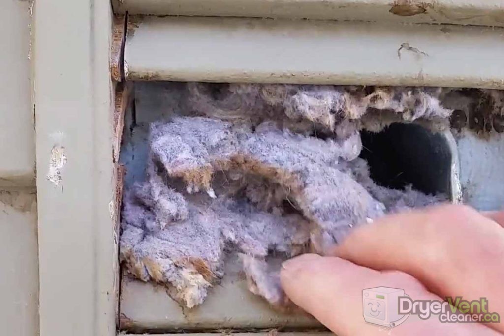 Might be time to clean this dryer vent