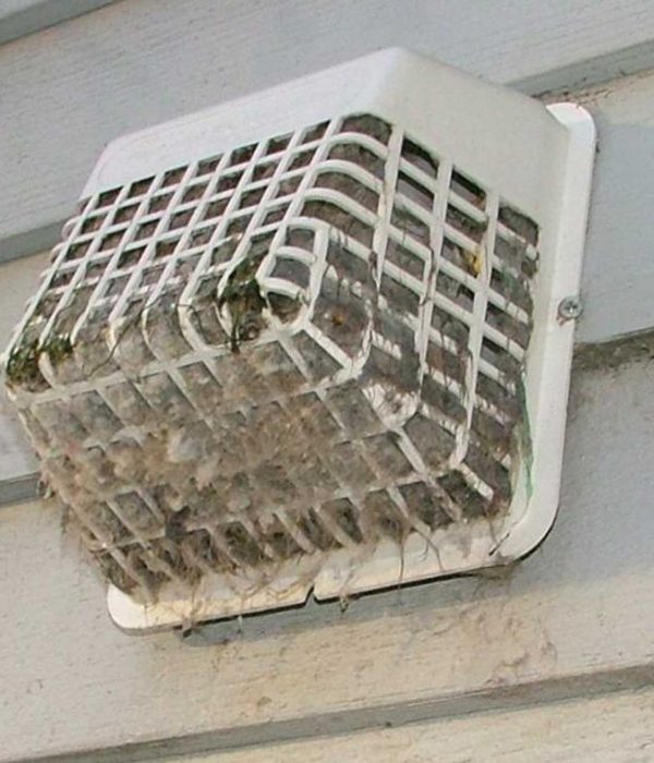 Dryer vent in need of cleaning