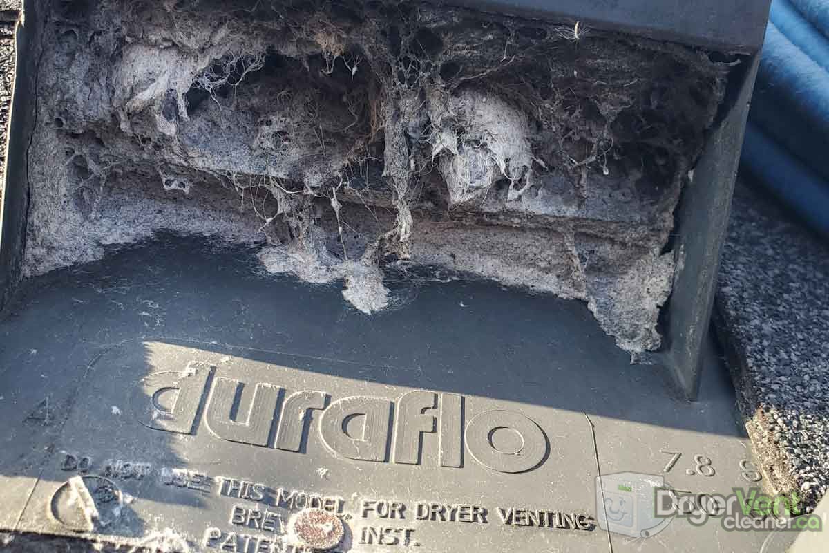 Dryer vent cleaning roof vent