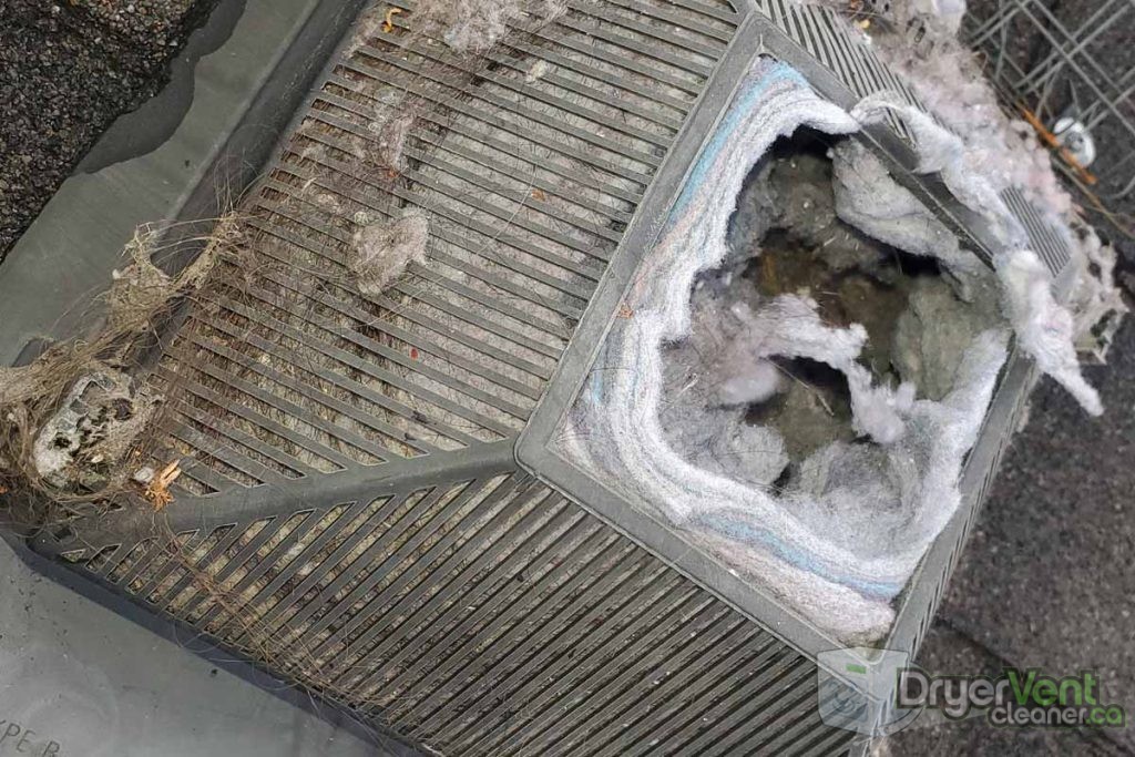 Dryer vent on roof that needs cleaning