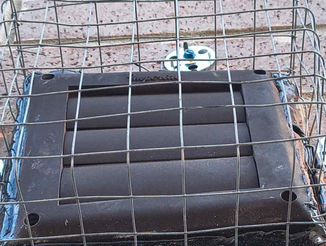 prevent birds from nesting in your vent