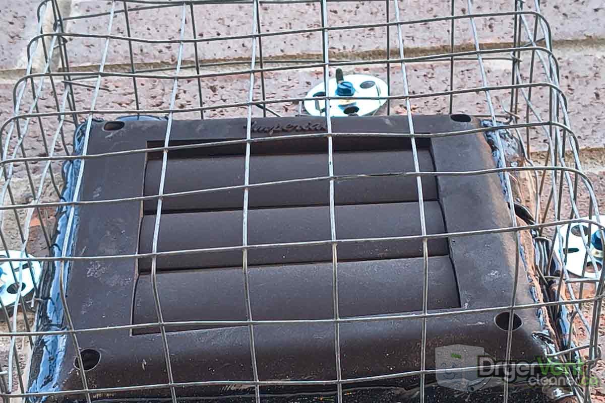 prevent birds from nesting in your vent